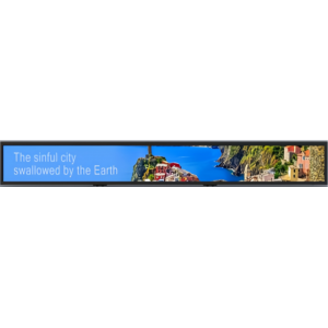 23.6 inch bar type display module